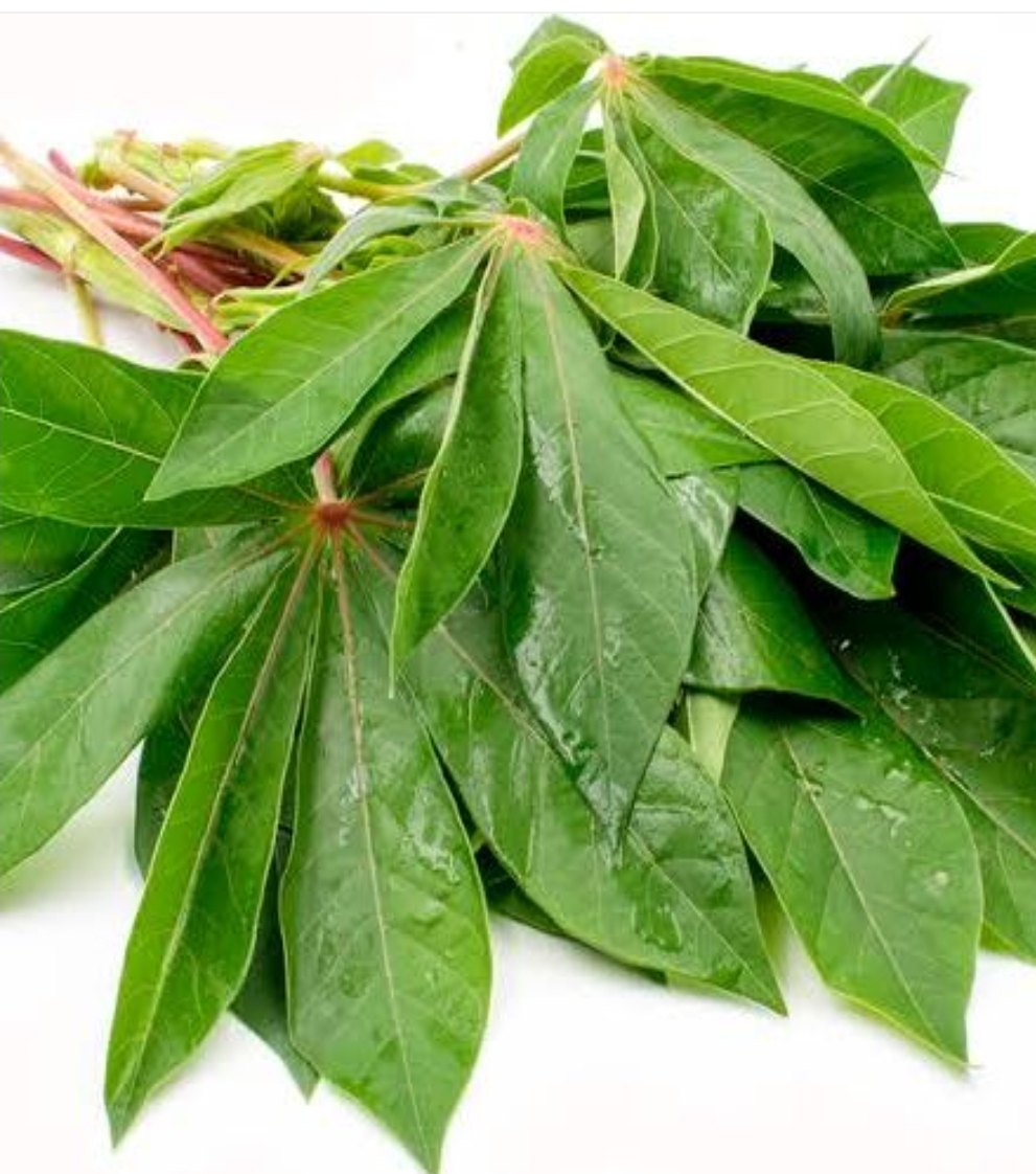 Frozen Cassava Leaves