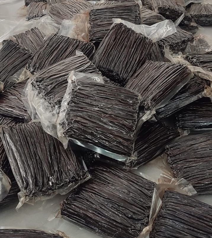 Vanilla Bean Planifolia Grade A