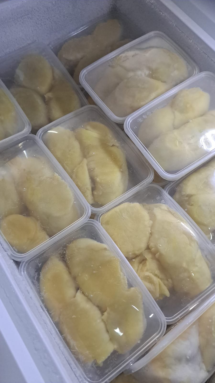 Frozen Durian Montong Palu