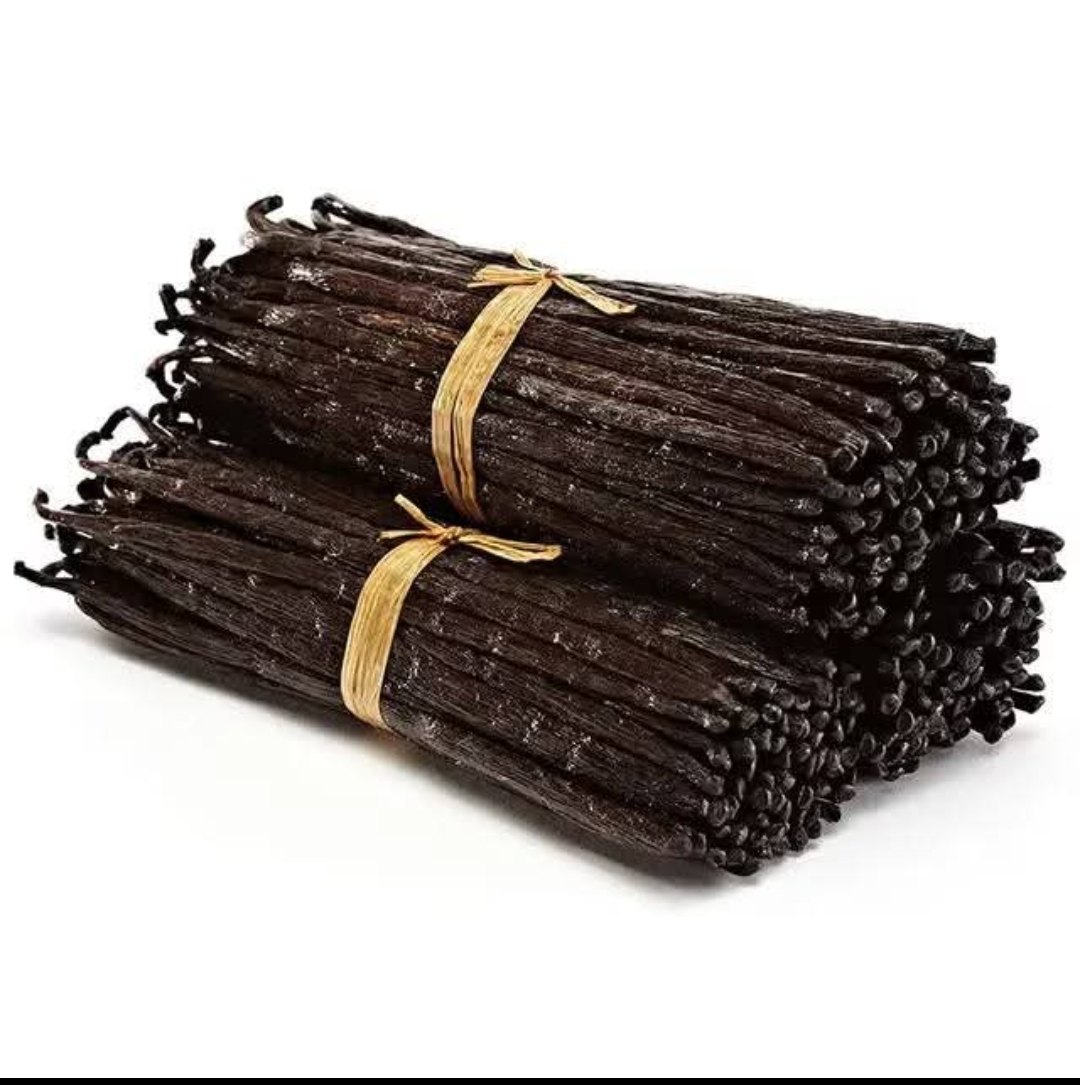 Vanilla Bean Planifolia Grade A
